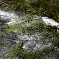 Image thumbnail