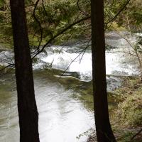 Image thumbnail