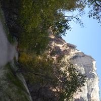 Image thumbnail