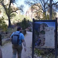 Image thumbnail