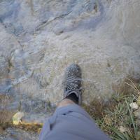 Image thumbnail