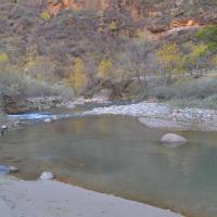 Image thumbnail