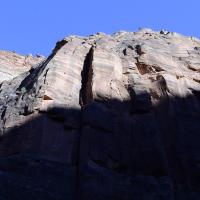 Image thumbnail