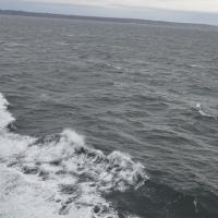 Image thumbnail