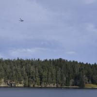 Image thumbnail