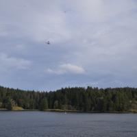 Image thumbnail