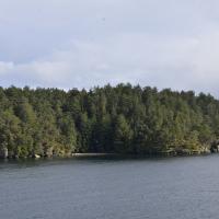 Image thumbnail