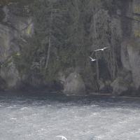 Image thumbnail