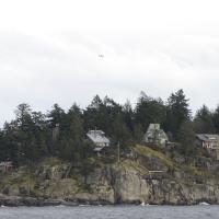 Image thumbnail