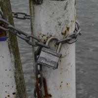 Image thumbnail